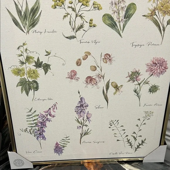 Floral Botanical Canvas Art - Picture 6 of 6